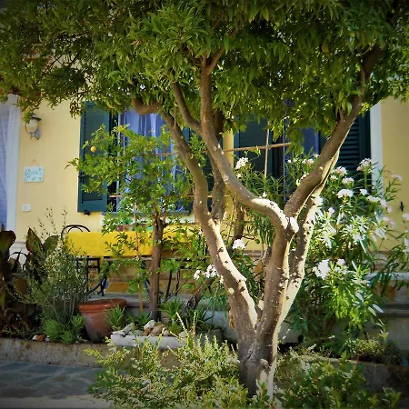 Via Dell'arancio * Massarosa